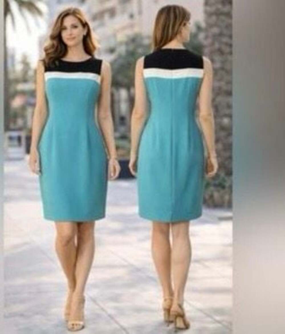 Kasper Sleeveless Color-Block Sheath Dress Size 14